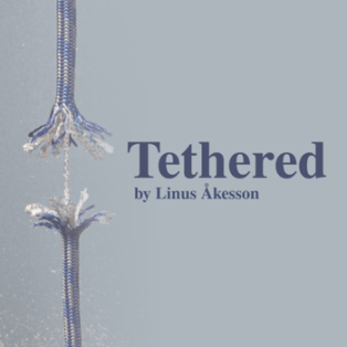 cover (3)